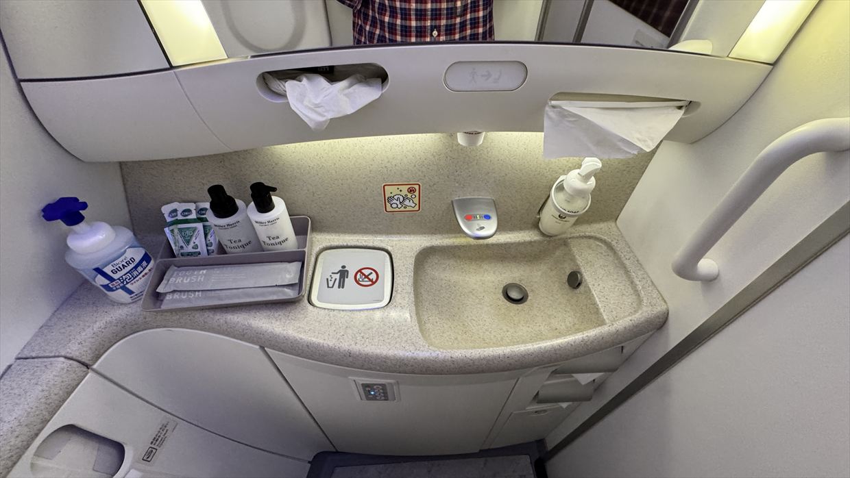 【フライトの様子】SKY SUITYEⅢ ビジネスクラス JAL39 羽田～デリー May25 B787-900型機