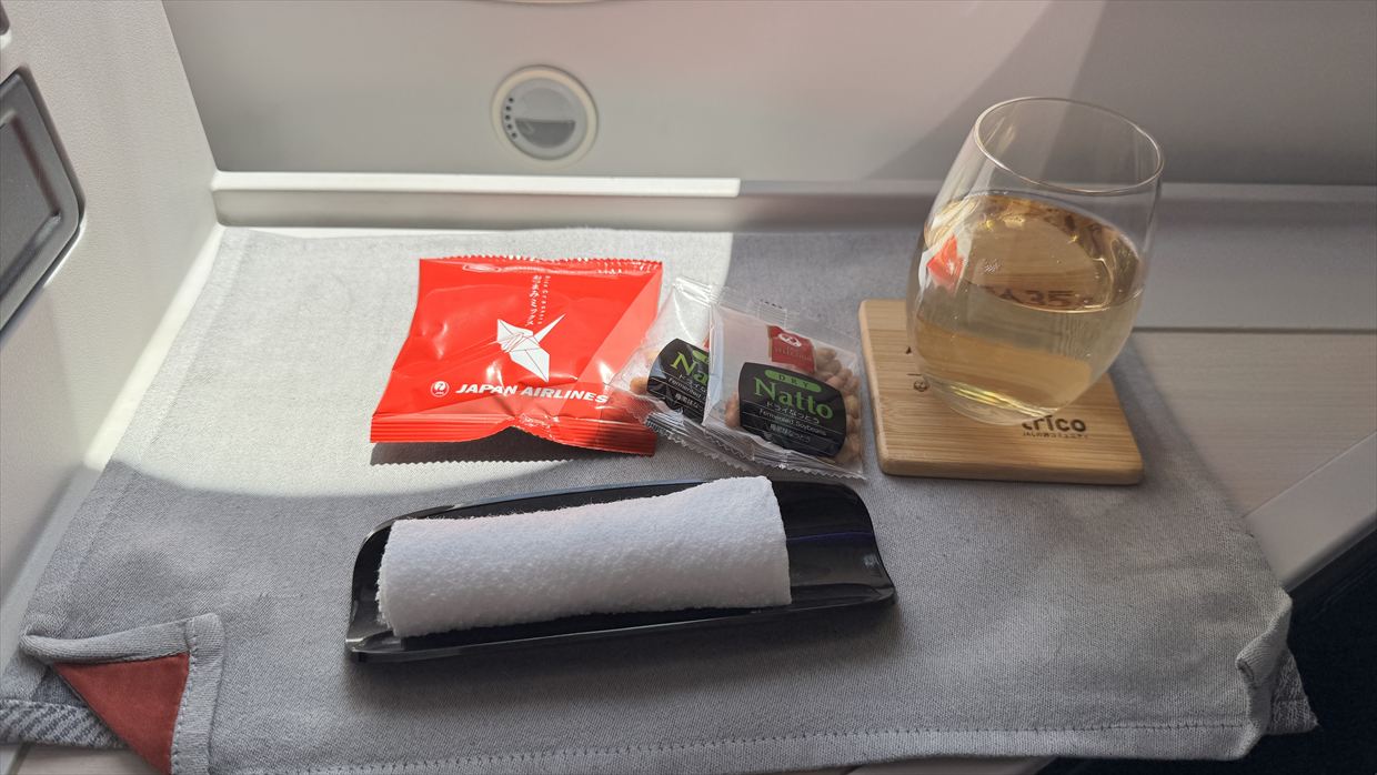 【機内食レポ】羽田～デリー JAL39便 ビジネスクラス メインのお食事 25年05月