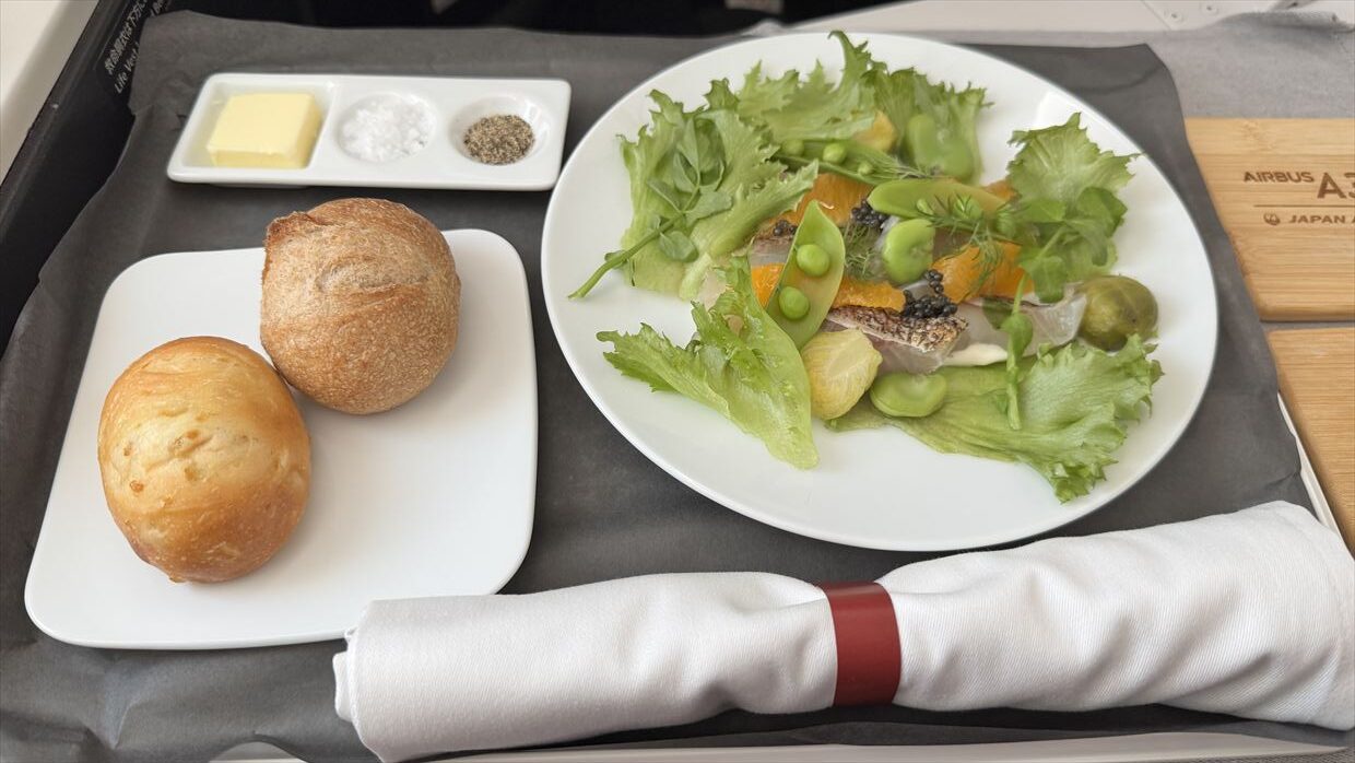 【機内食レポ】羽田～デリー JAL39便 ビジネスクラス メインのお食事 25年05月