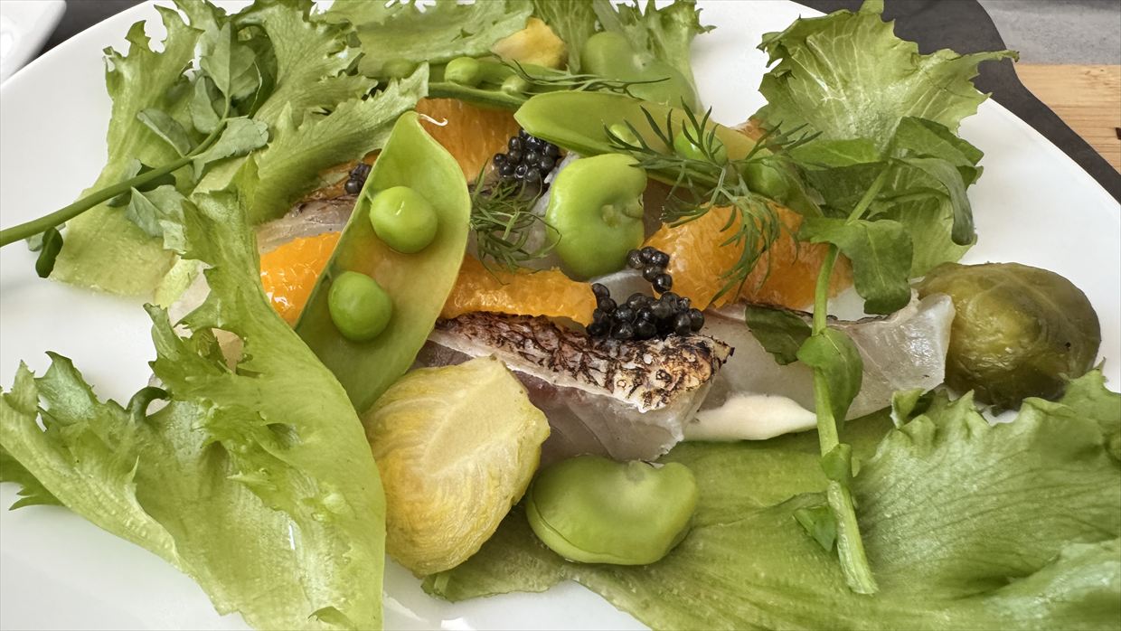 【機内食レポ】羽田～デリー JAL39便 ビジネスクラス メインのお食事 25年05月