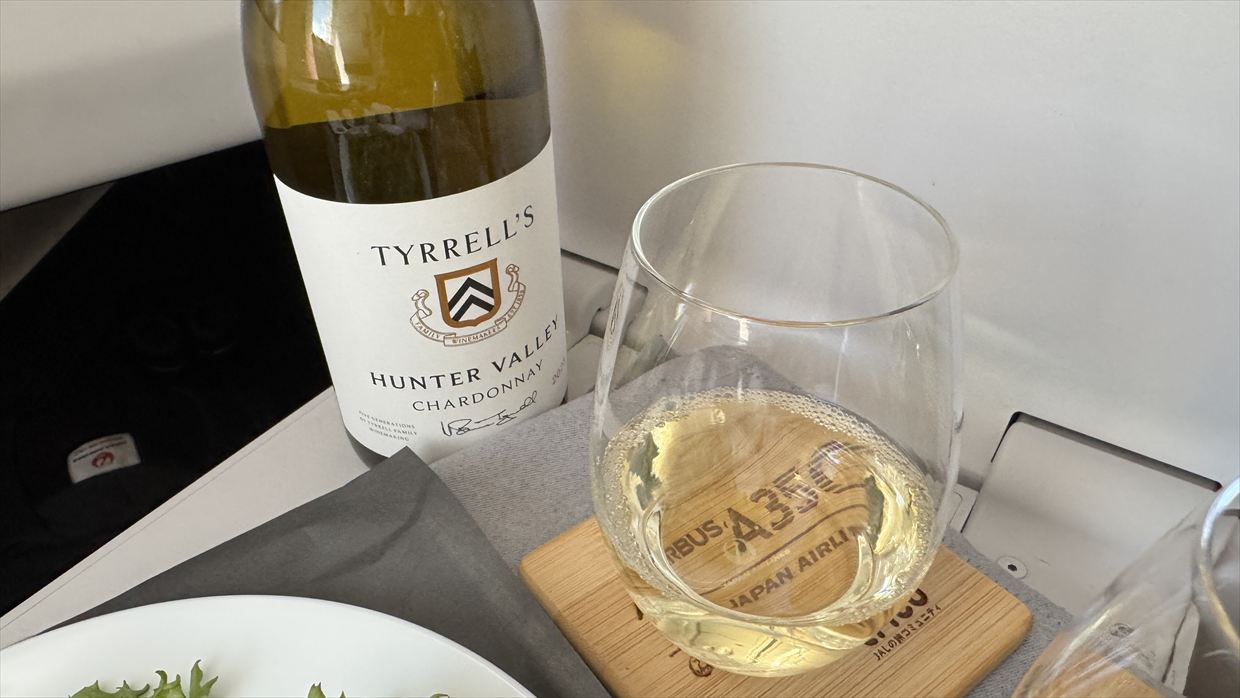 【機内食レポ】羽田～デリー JAL39便 ビジネスクラス メインのお食事 25年05月