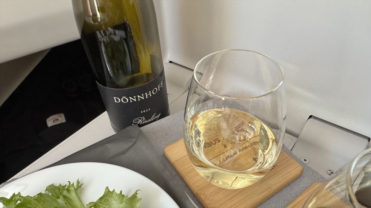 【機内食レポ】羽田～デリー JAL39便 ビジネスクラス メインのお食事 25年05月