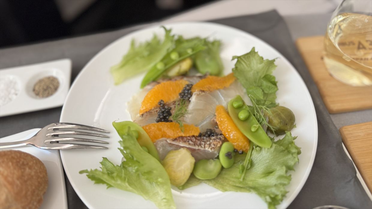 【機内食レポ】羽田～デリー JAL39便 ビジネスクラス メインのお食事 25年05月