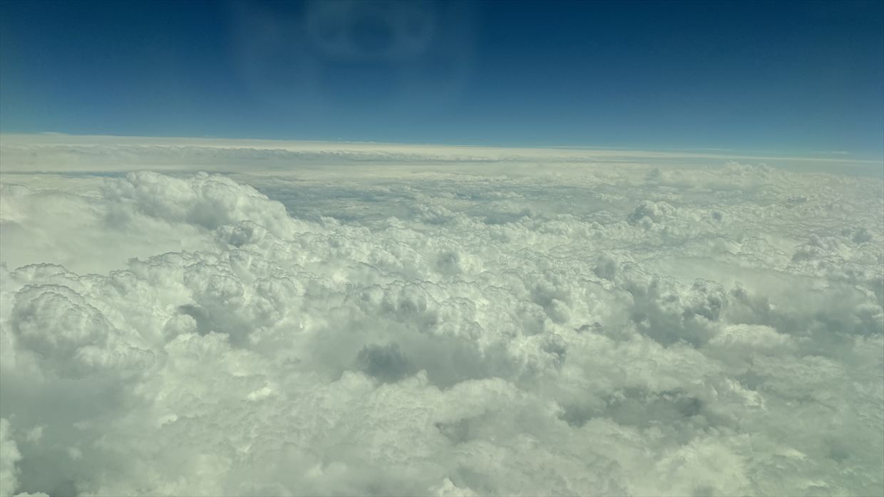 【フライトの様子】SKY SUITYEⅢ ビジネスクラス JAL39 羽田～デリー May25 B787-900型機