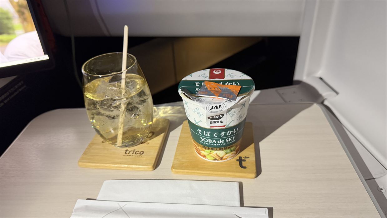 【機内食レポ】羽田～デリー JAL39便 ビジネスクラス メインのお食事 25年05月