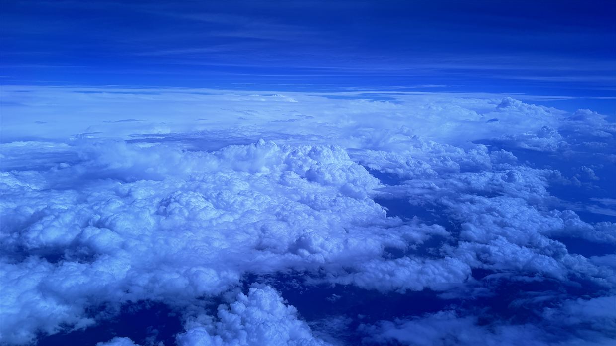 【フライトの様子】SKY SUITYEⅢ ビジネスクラス JAL39 羽田～デリー May25 B787-900型機