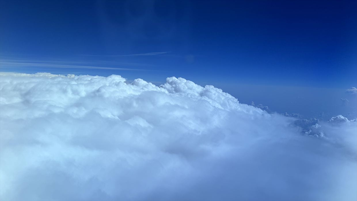 【フライトの様子】SKY SUITYEⅢ ビジネスクラス JAL39 羽田～デリー May25 B787-900型機