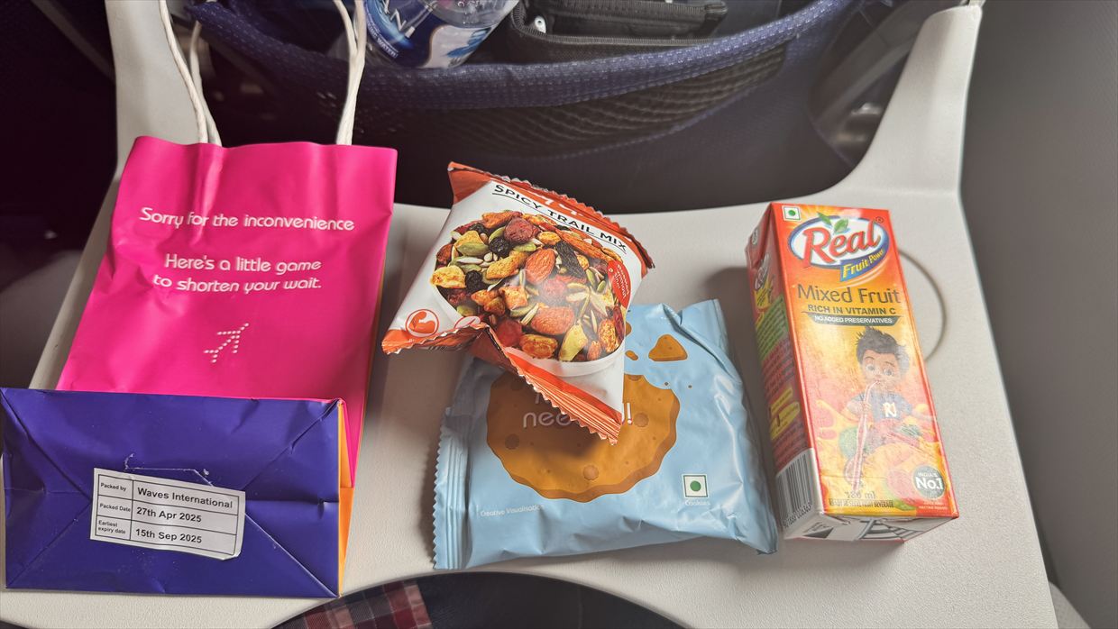 【フライトの様子とレーの観光風景】IndiGo航空 6E2583 デリー～レー May25 A320型機