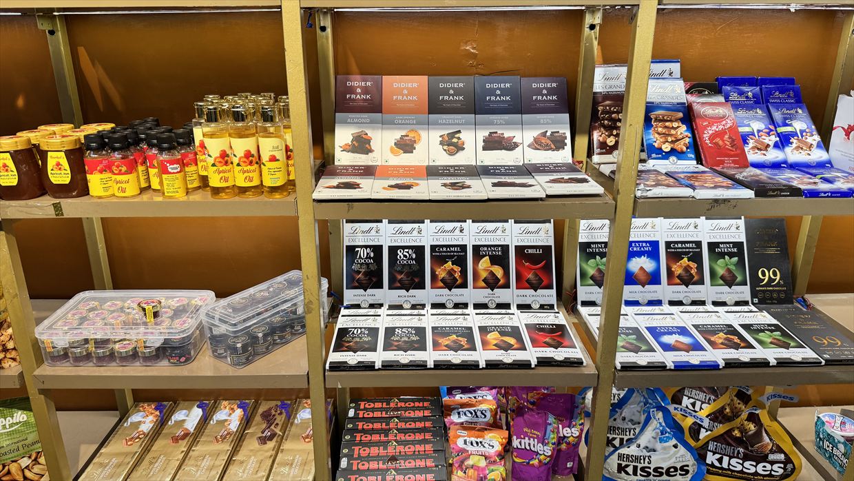 【フライトの様子とレーの観光風景】IndiGo航空 6E2015 レー～デリー May25 A320型機