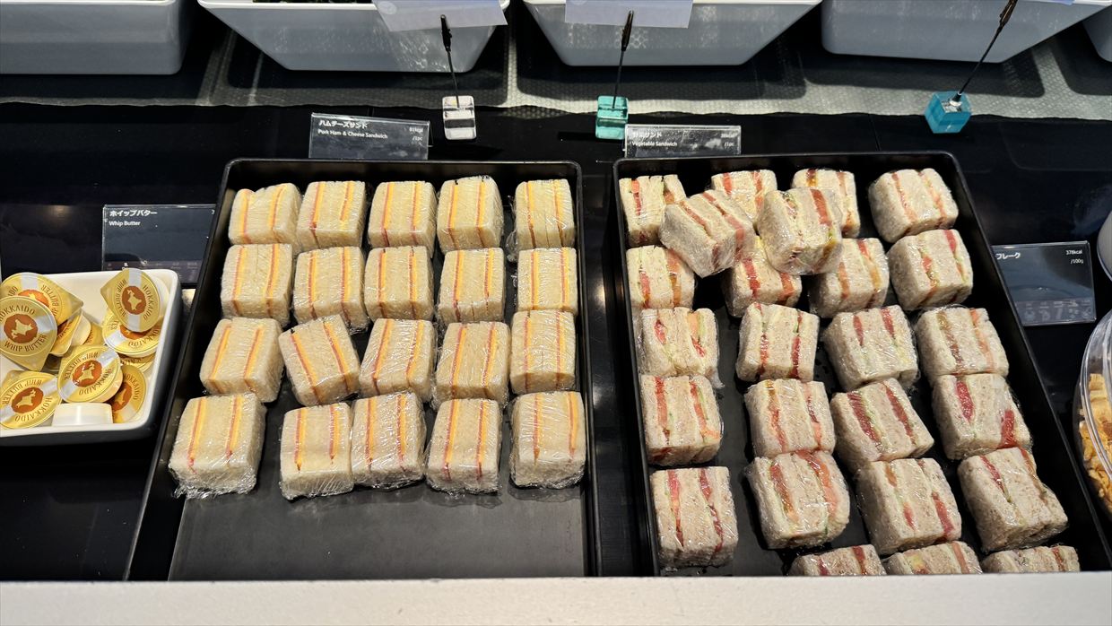 【ラウンジレポ】成田空港 ターミナル1 ANA LOUNGE 25年6月