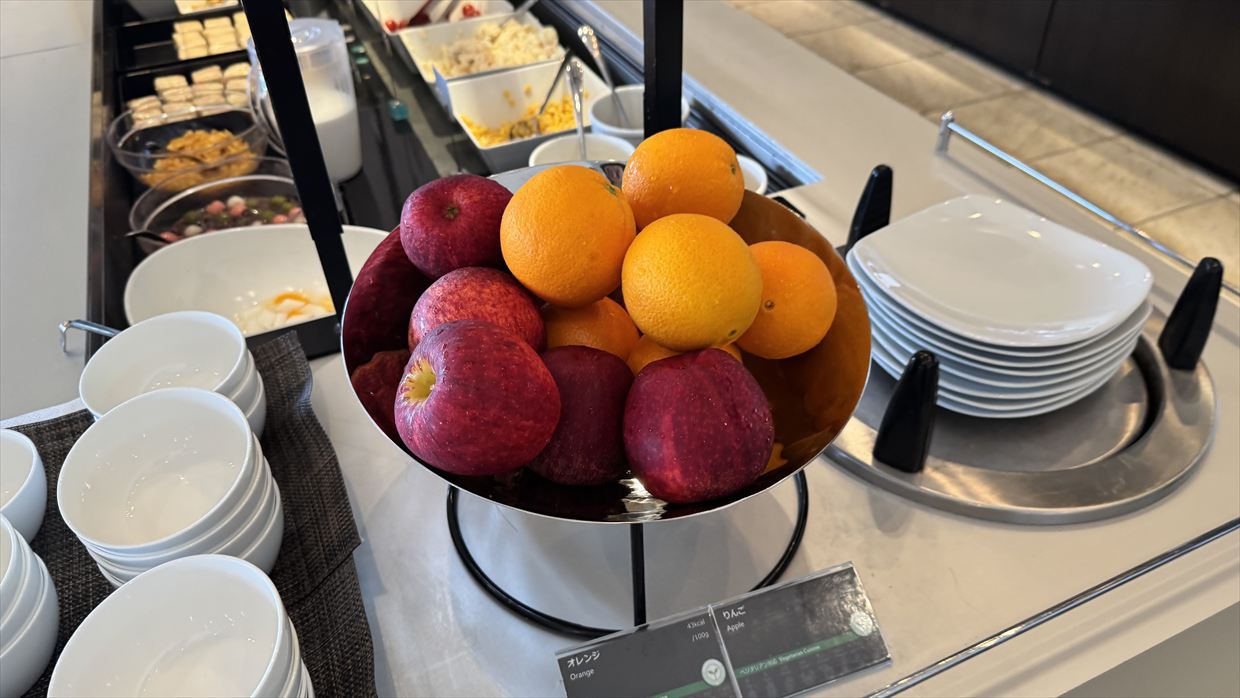 【ラウンジレポ】成田空港 ターミナル1 ANA LOUNGE 25年6月