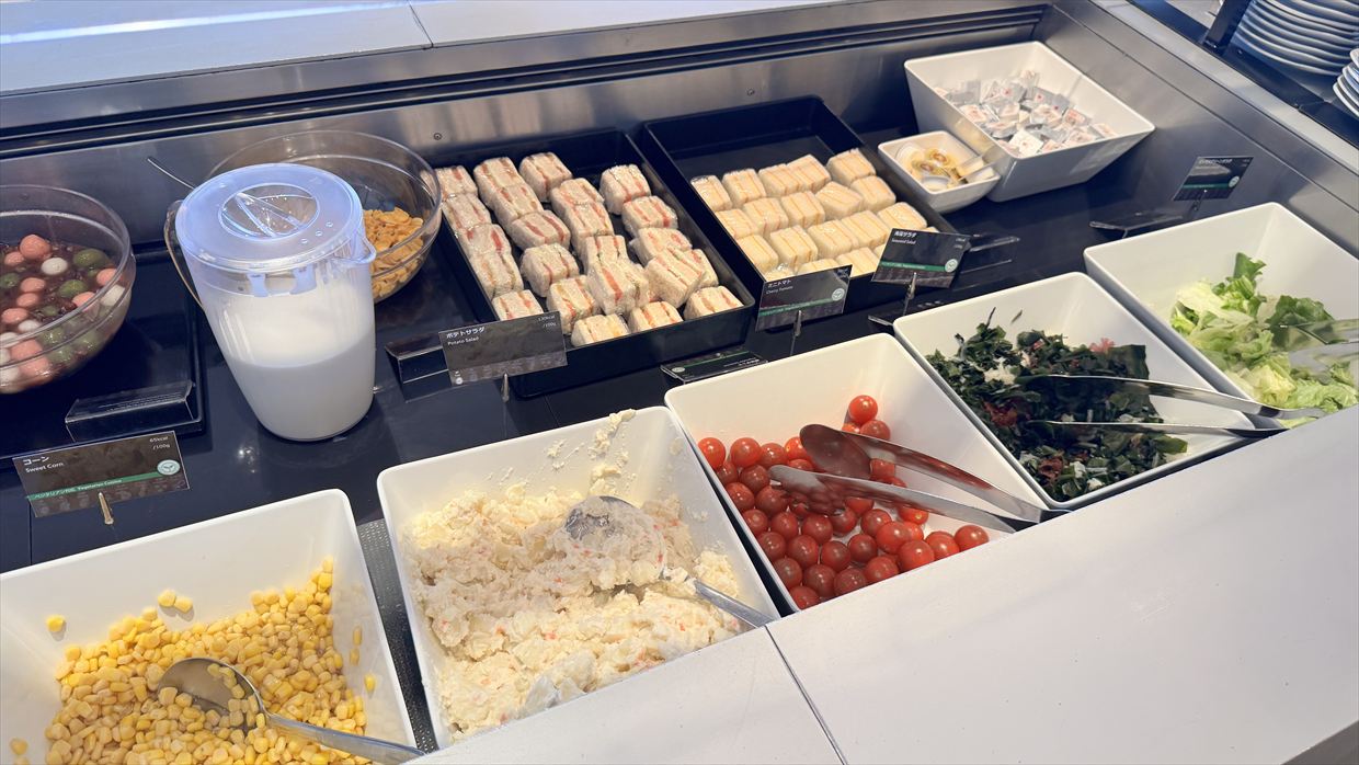 【ラウンジレポ】成田空港 ターミナル1 ANA LOUNGE 25年6月