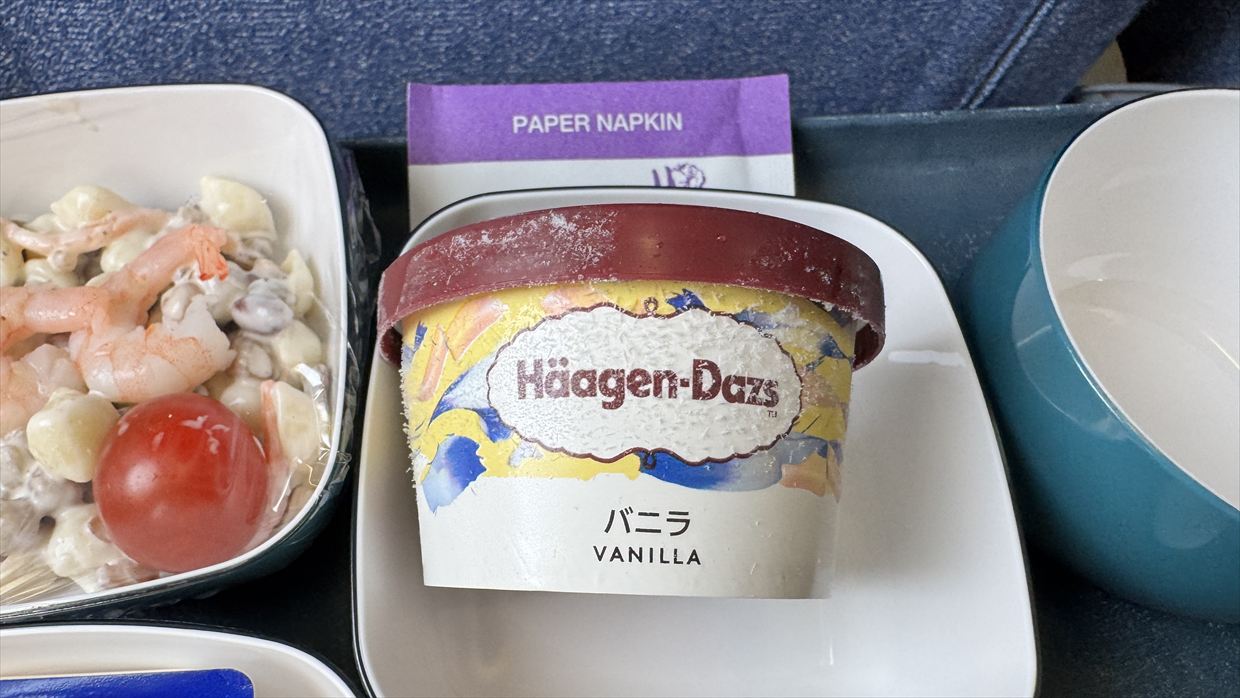 【機内食レポ】成田～上海 CA930便 エコノミークラス 25年06月