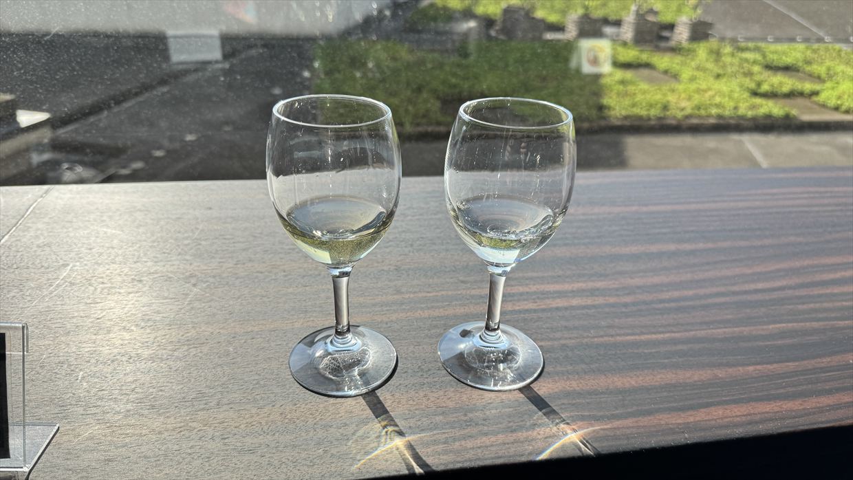 【ラウンジレポ】成田空港 JAL ファーストクラスラウンジ 25年9月　