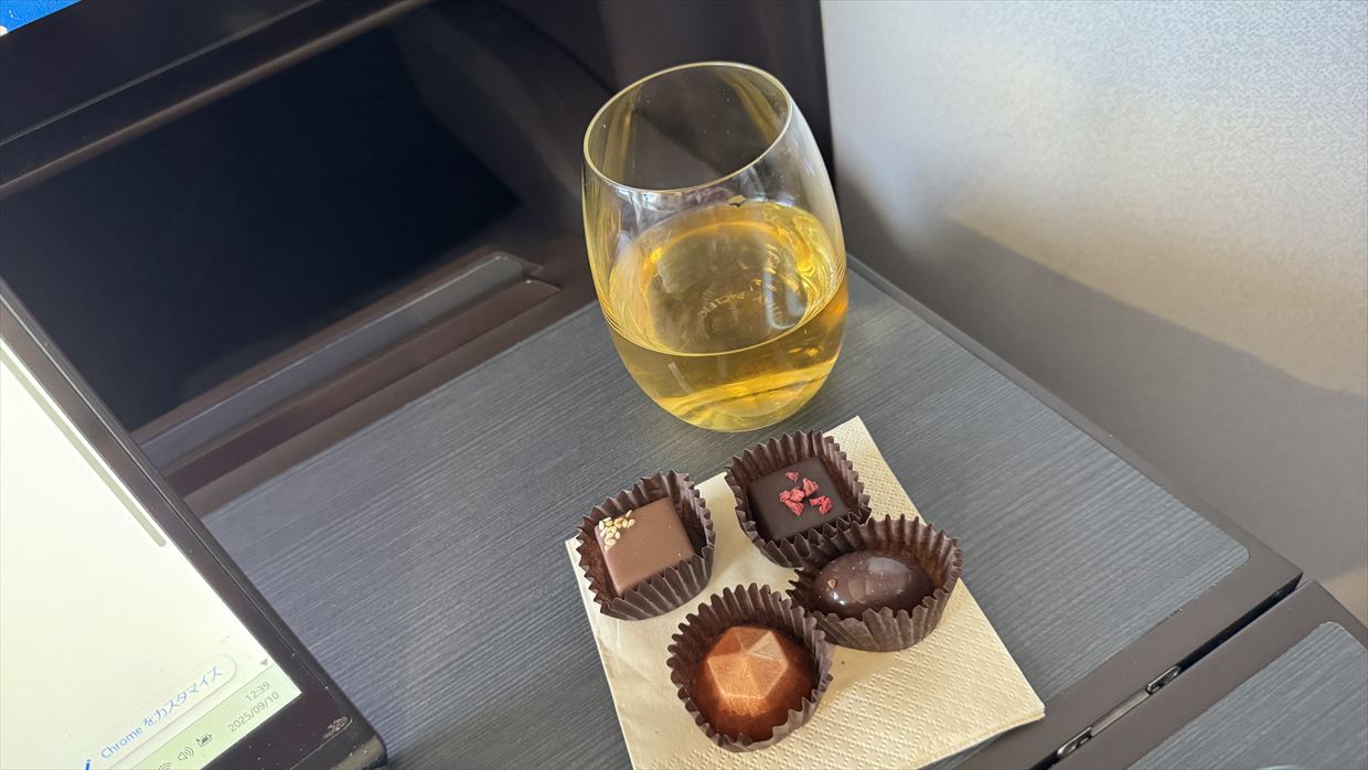 【機内食レポ】香港～シドニー CX162便 ビジネスクラス メイン以降の食事 25年09月