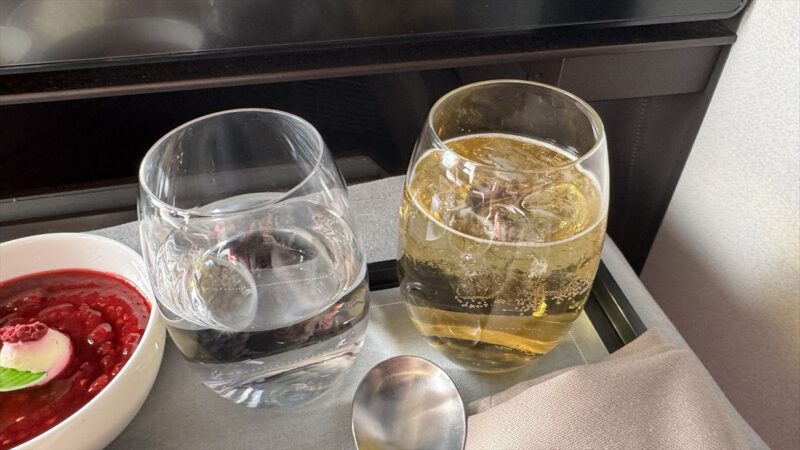 【機内食レポ】香港～シドニー CX162便 ビジネスクラス メイン以降の食事 25年09月