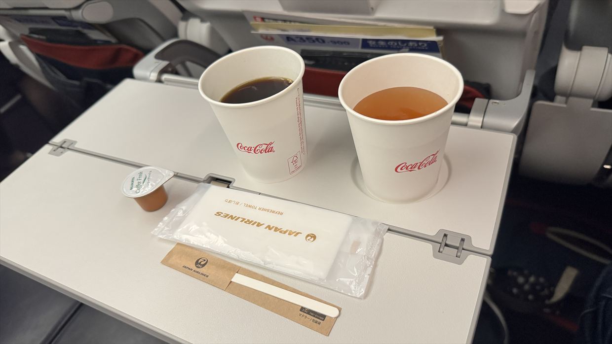 【フライトの様子】JAL920 那覇~羽田 Apr25 A350-900型機 普通席