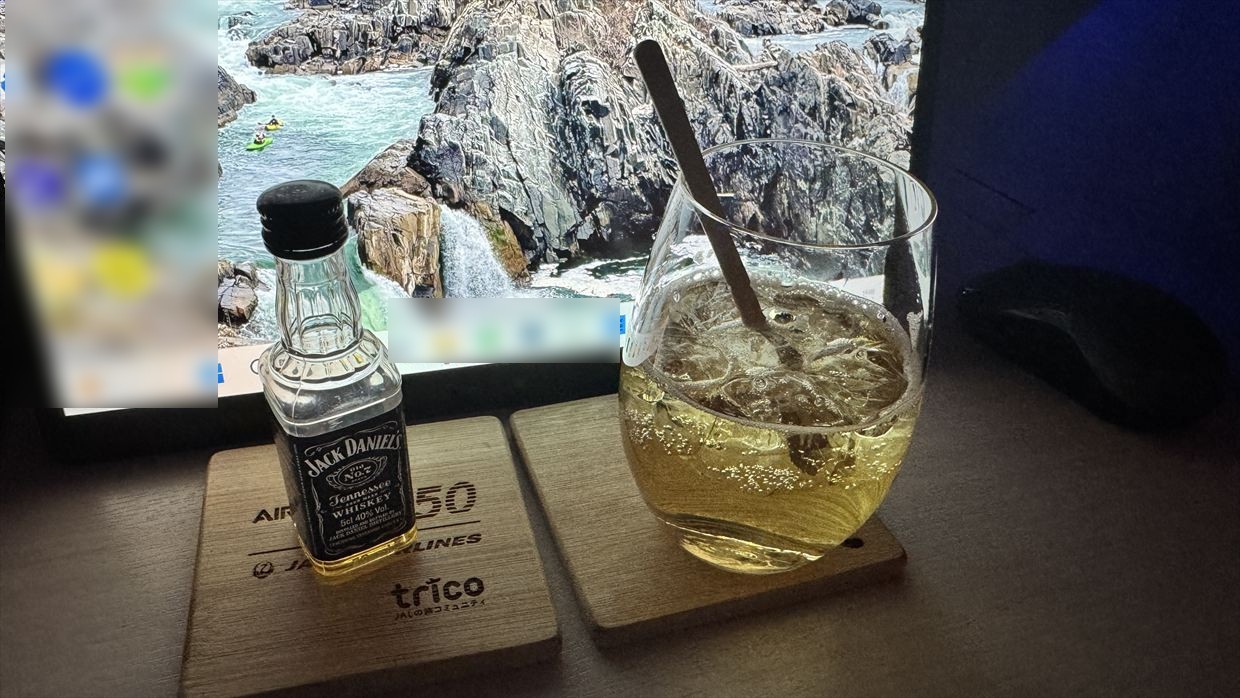 【機内食レポ】羽田～デリー JAL39便 ビジネスクラス メインのお食事 25年05月