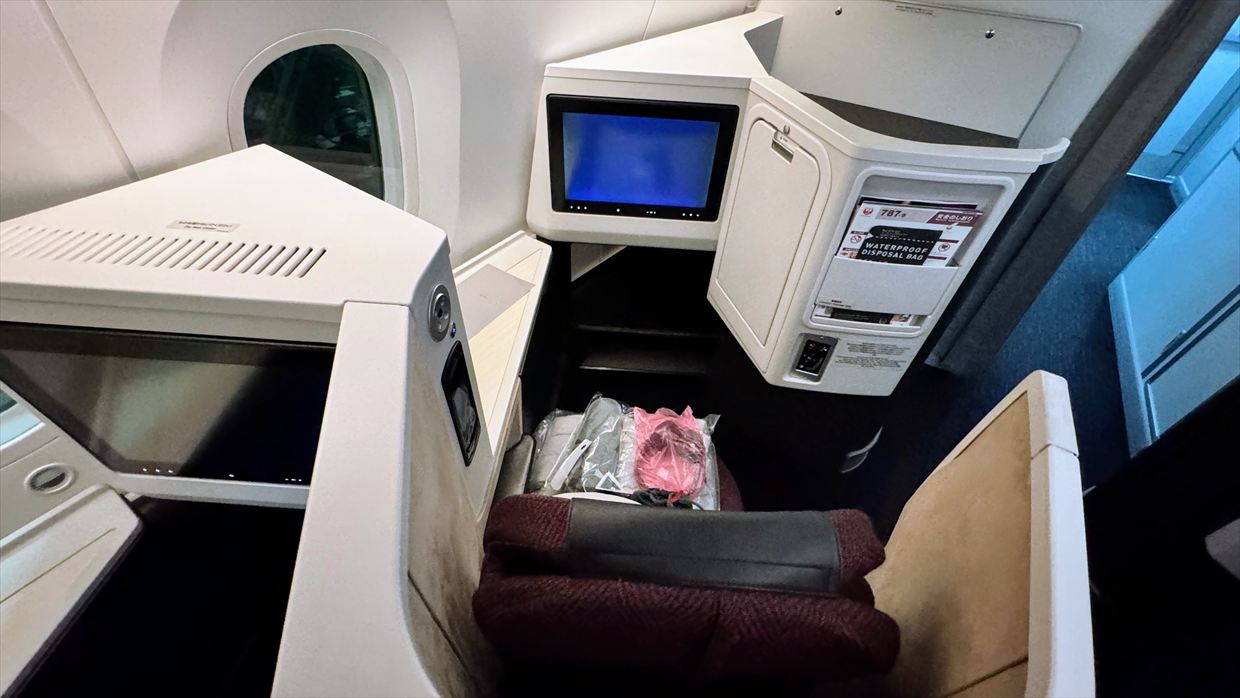 【フライトの様子】JAL30 デリー～羽田 01Jan25