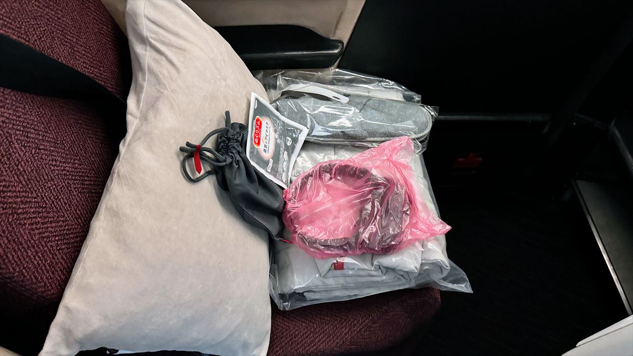 【フライトの様子】JAL30 デリー～羽田 01Jan25