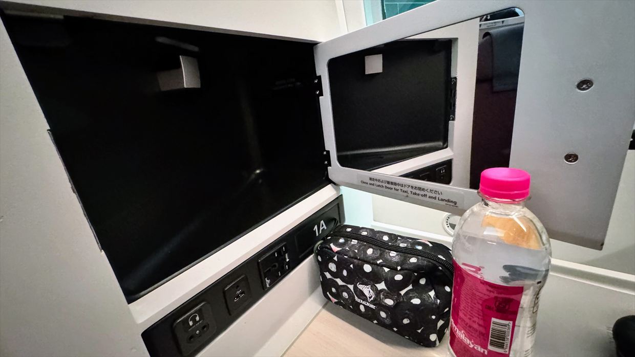 【フライトの様子】JAL30 デリー～羽田 01Jan25