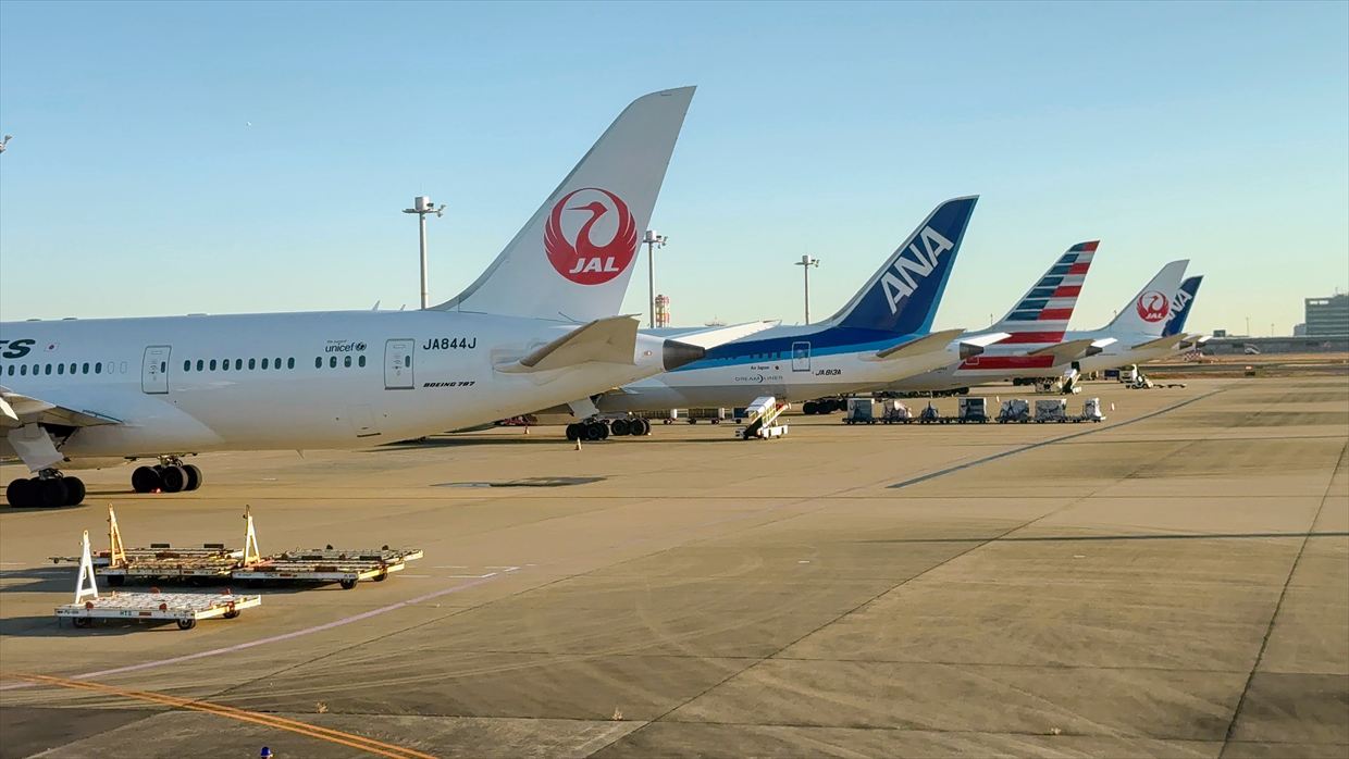 【フライトの様子】JAL30 デリー～羽田 01Jan25