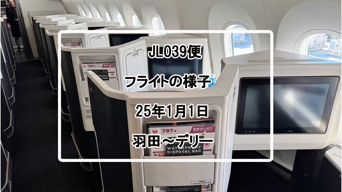 【フライトの様子】JAL39 羽田～デリー 01Jan25