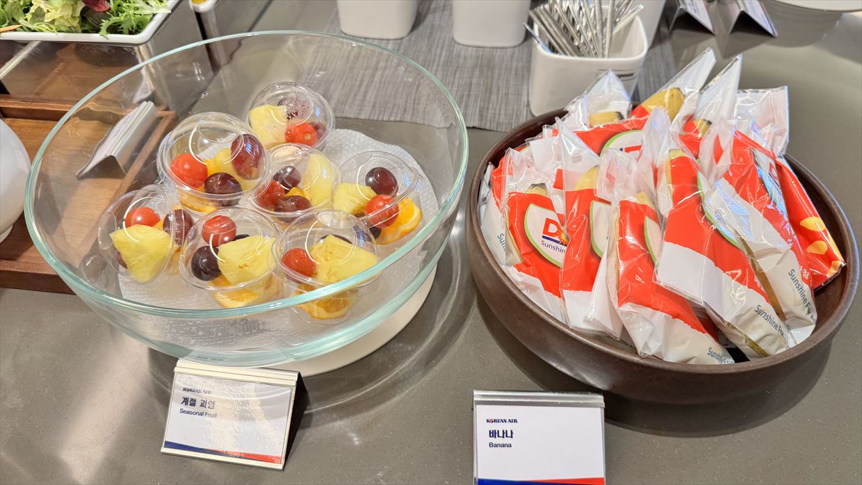 【ラウンジレポ】ソウル 金浦空港 KALラウンジ 25年2月19日