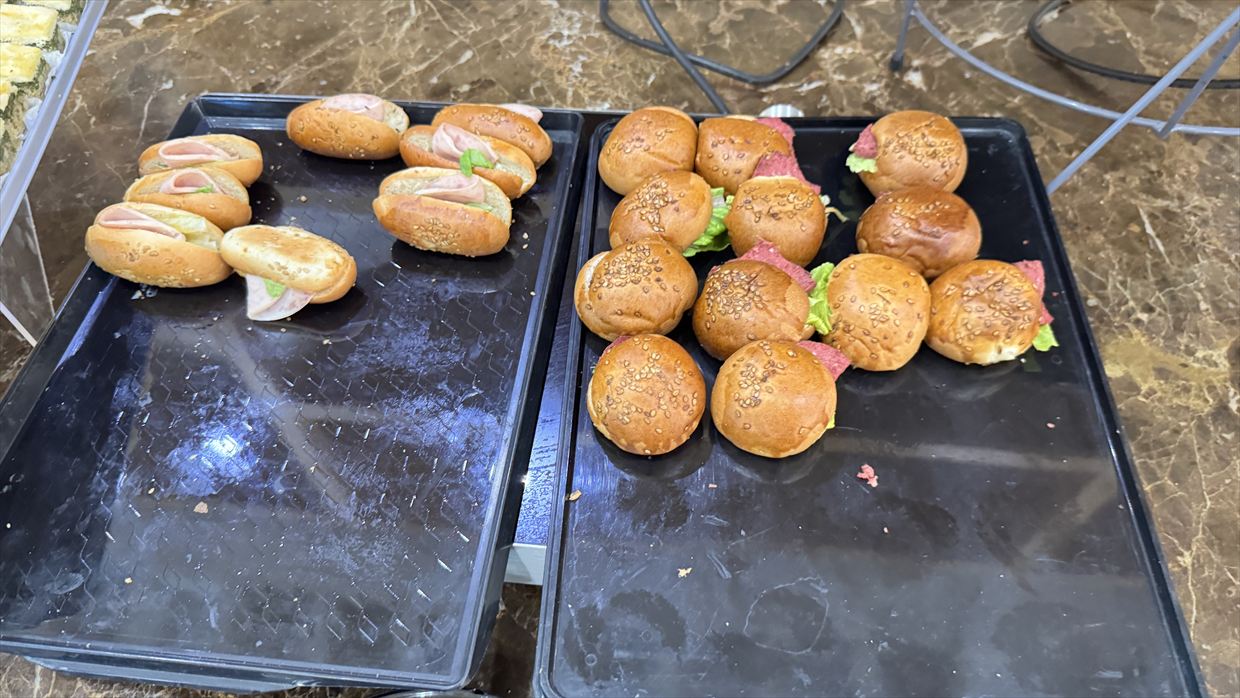 【ラウンジレポ】チュニス空港 チュニスエア ESPACE PRIVILEGE 25年3月13日