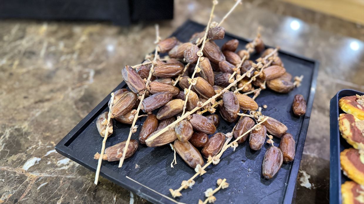 【ラウンジレポ】チュニス空港 チュニスエア ESPACE PRIVILEGE 25年3月13日