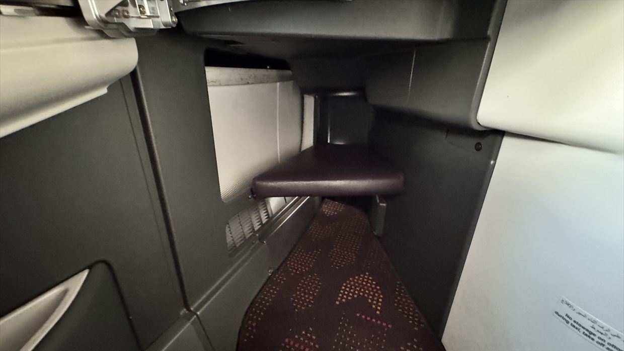 【フライトの様子】AT200 カサブランカ～ニューヨーク 14Mar25 B787-900 リバースヘリンボーン型ビジネスクラス