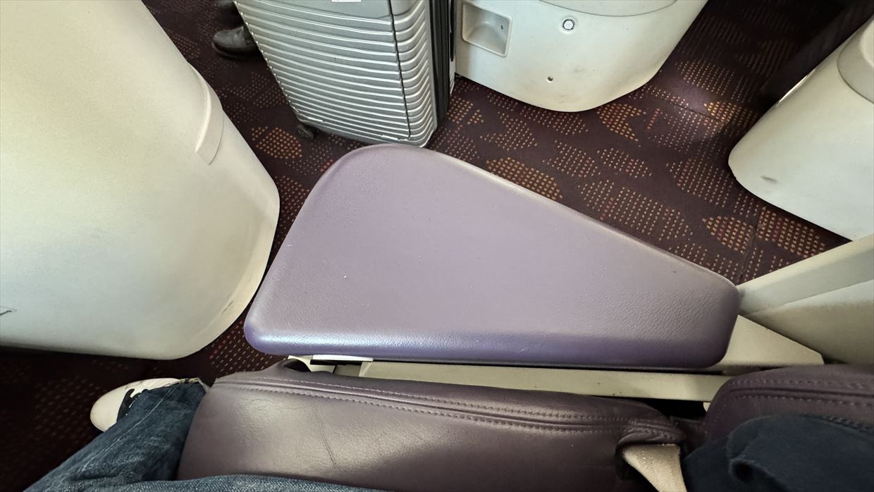 【フライトの様子】AT200 カサブランカ～ニューヨーク 14Mar25 B787-900 リバースヘリンボーン型ビジネスクラス