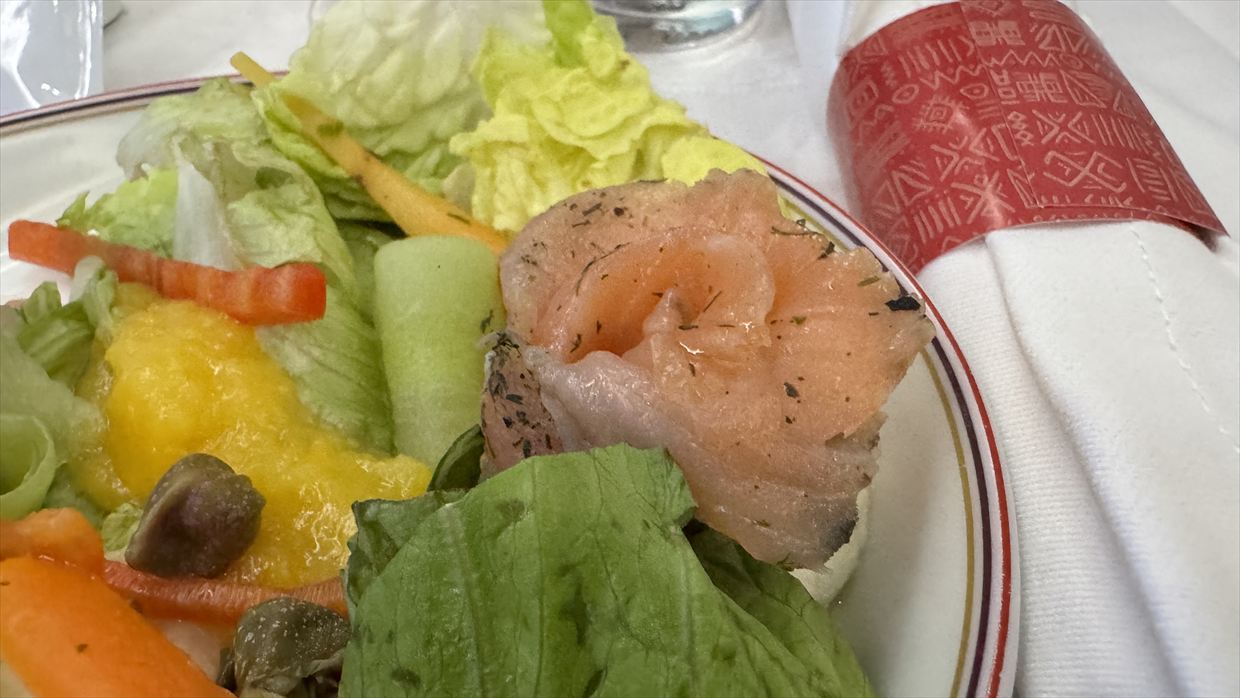 【機内食レポ】カサブランカ～ニューヨーク AT200便 ビジネスクラス 1 25年03月14日