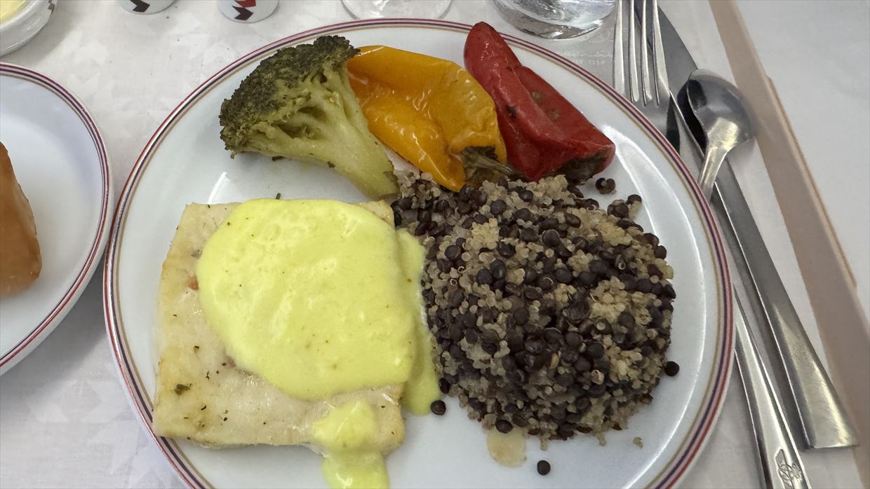 【機内食レポ】カサブランカ～ニューヨーク AT200便 ビジネスクラス 1 25年03月14日