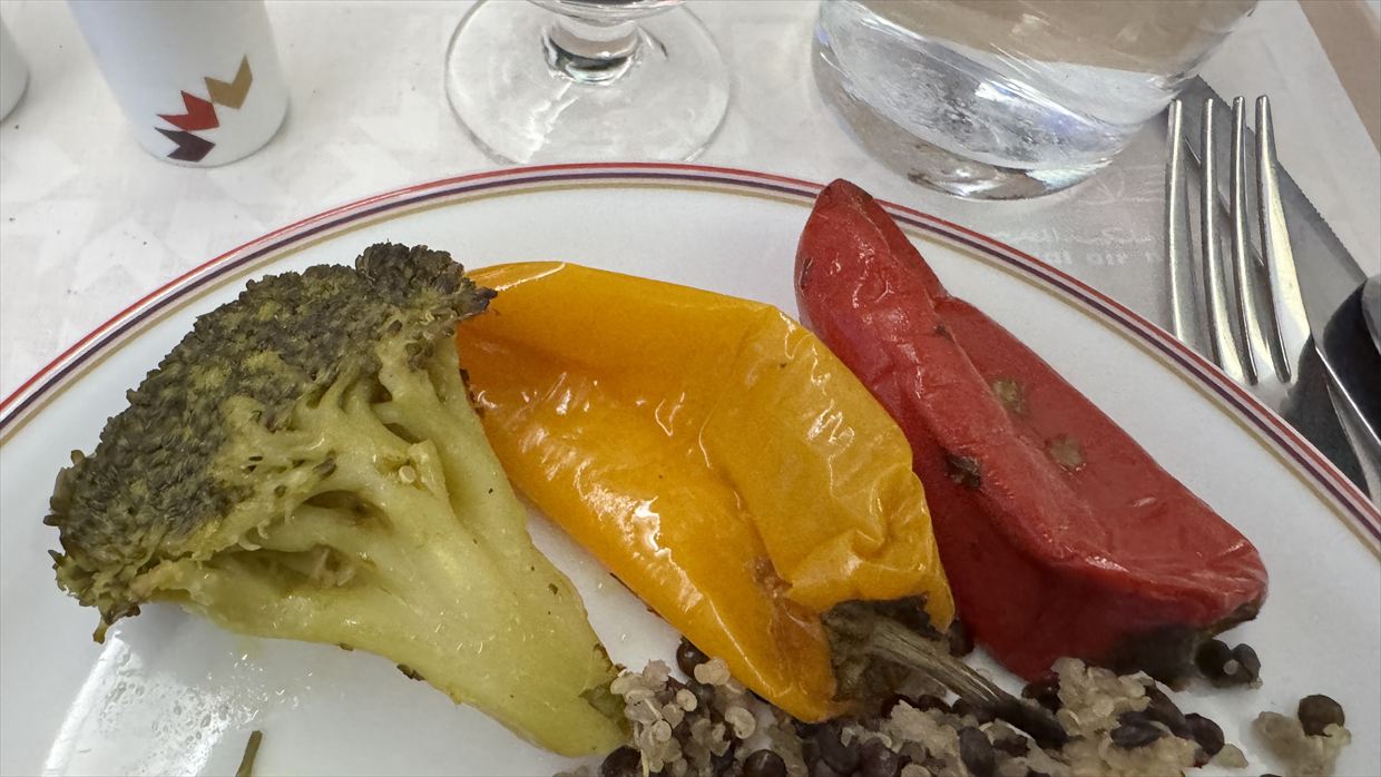 【機内食レポ】カサブランカ～ニューヨーク AT200便 ビジネスクラス 1 25年03月14日