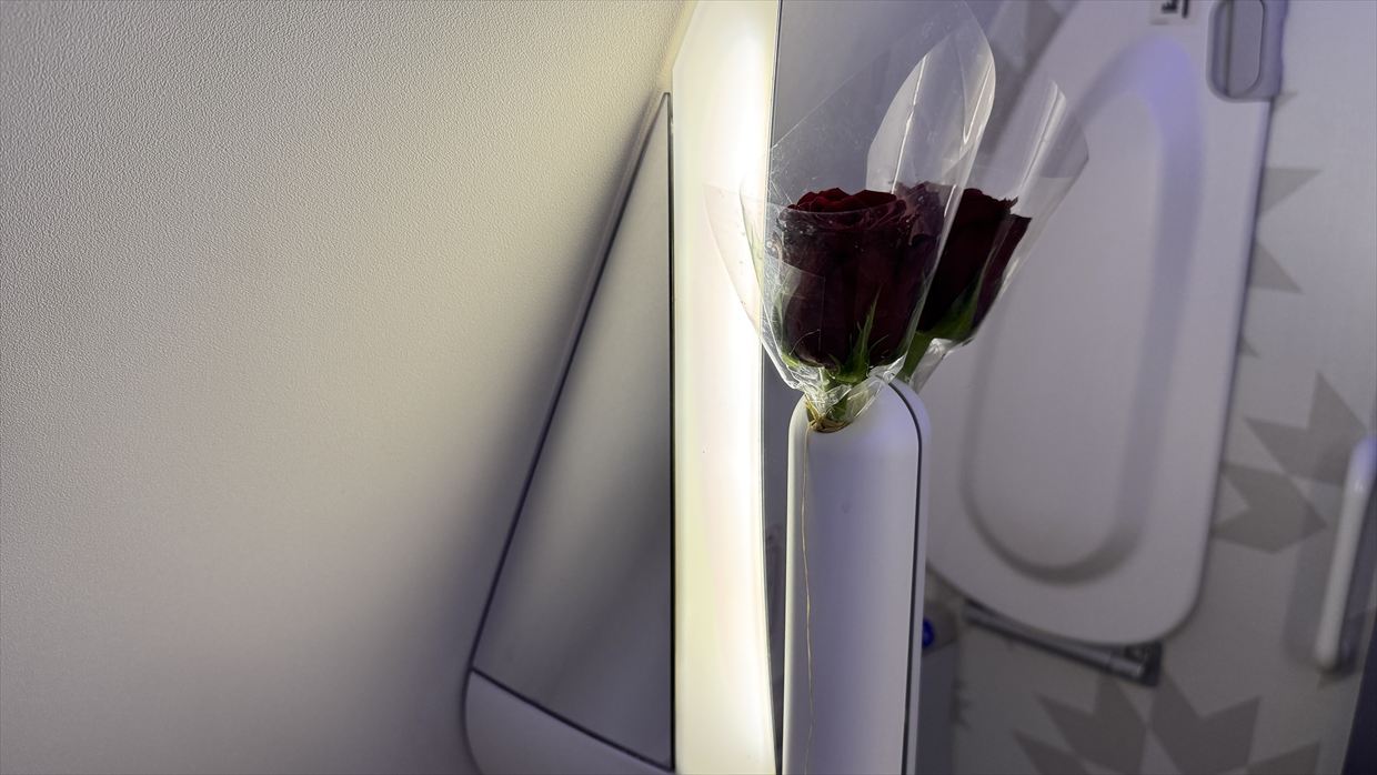 【フライトの様子】AT200 カサブランカ～ニューヨーク 14Mar25 B787-900 リバースヘリンボーン型ビジネスクラス