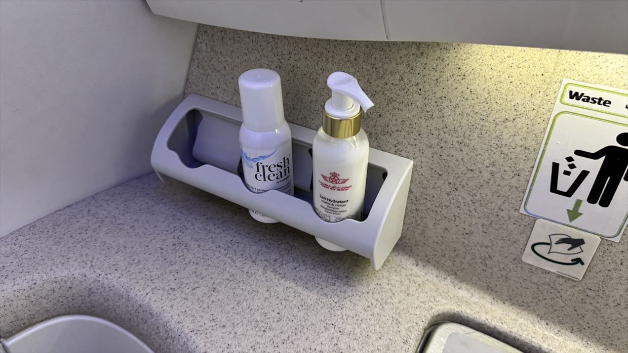 【フライトの様子】AT200 カサブランカ～ニューヨーク 14Mar25 B787-900 リバースヘリンボーン型ビジネスクラス