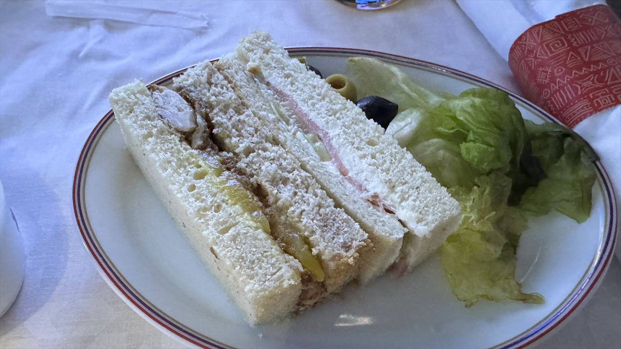 【機内食レポ】カサブランカ~ニューヨーク AT200便 ビジネスクラス 到着前の軽食 25年03月14日