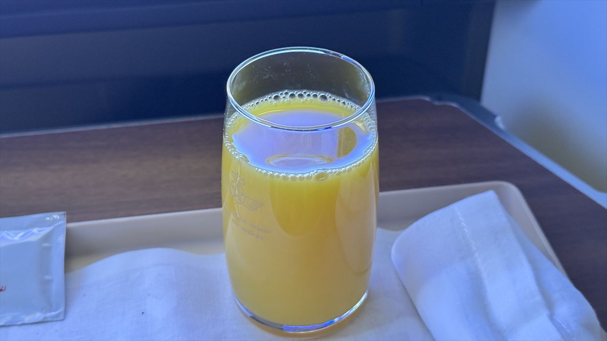 【機内食レポ】カサブランカ~ニューヨーク AT200便 ビジネスクラス 到着前の軽食 25年03月14日