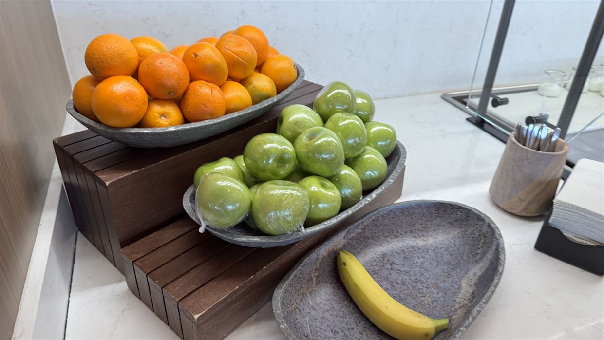 【ラウンジレポ】JFK アメリカン航空 ファーストクラスラウンジ SOHO LOUNGE 25年3月