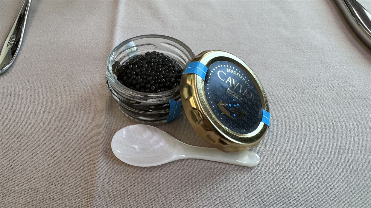 【機内食レポ】JAL5便 ニューヨーク～羽田 ファーストクラス メイン1 25年03月