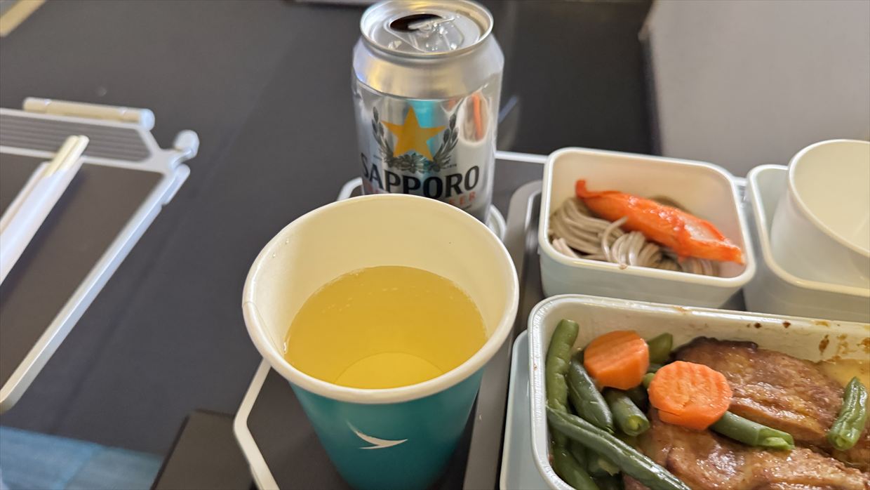 【フライト&機内食レポ】中部~台北 CX531便 エコノミークラス 25年04月