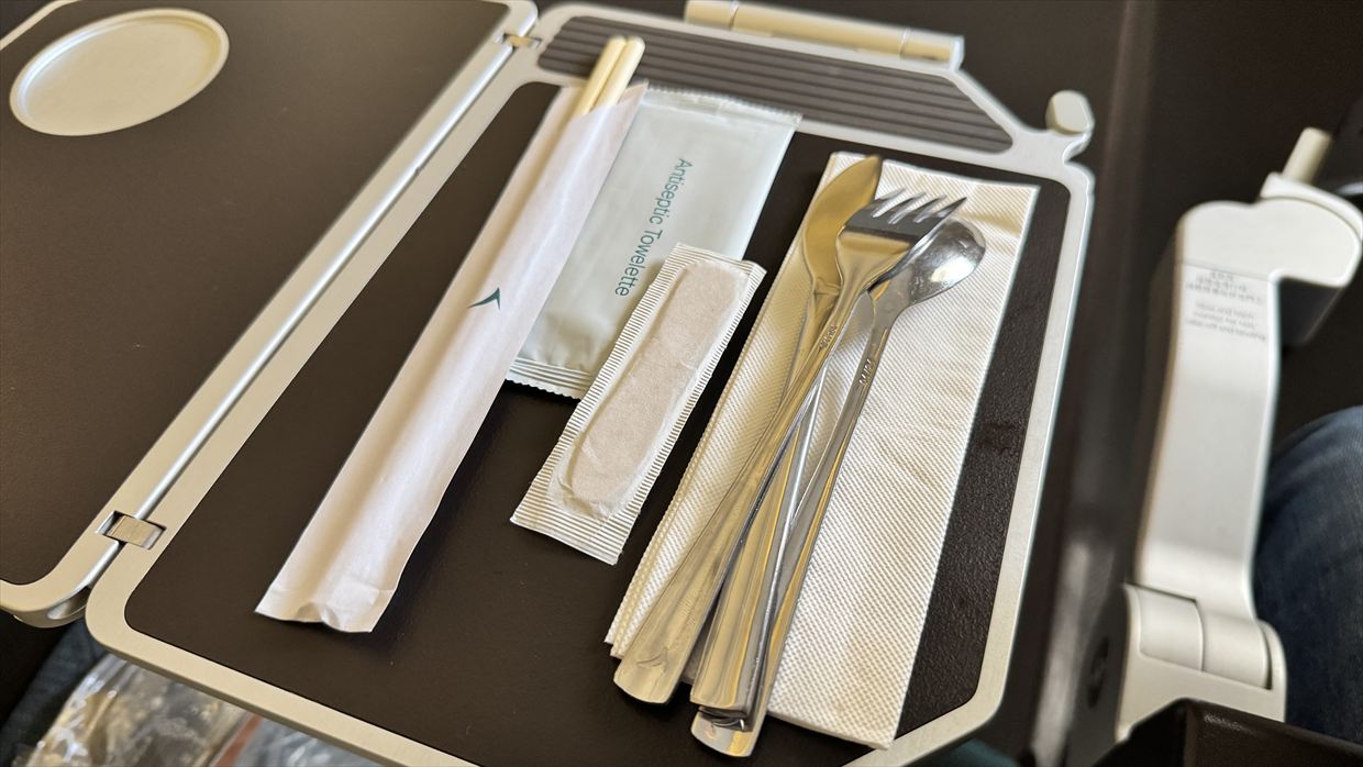 【フライト&機内食レポ】中部~台北 CX531便 エコノミークラス 25年04月