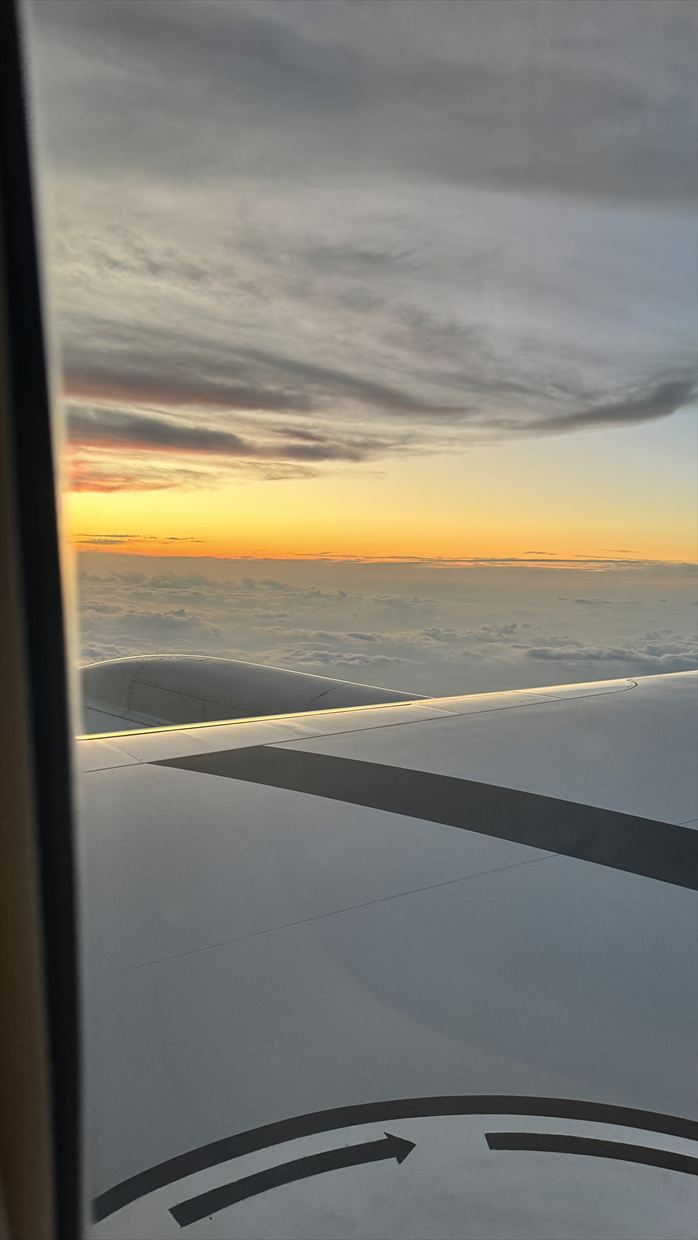 【フライト&機内食レポ】中部~台北 CX531便 エコノミークラス 25年04月