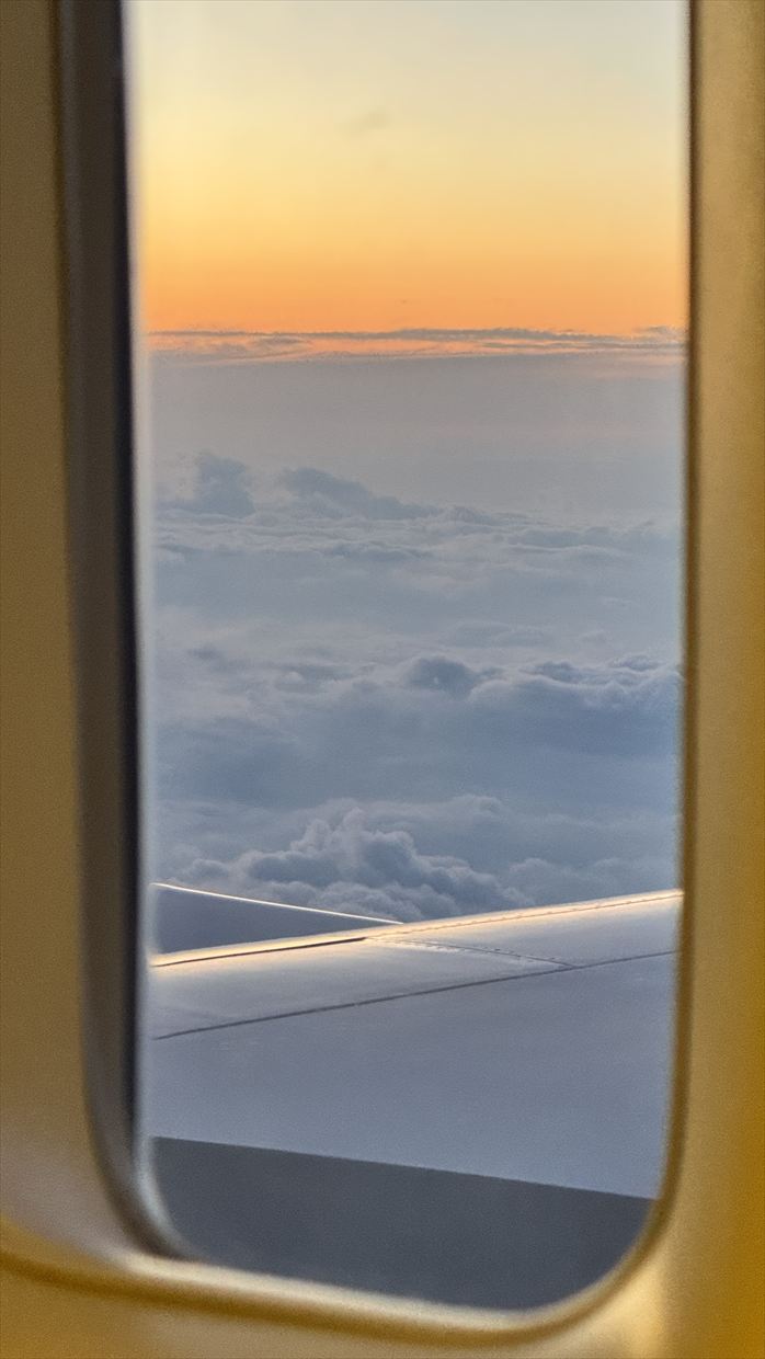 【フライト&機内食レポ】中部~台北 CX531便 エコノミークラス 25年04月