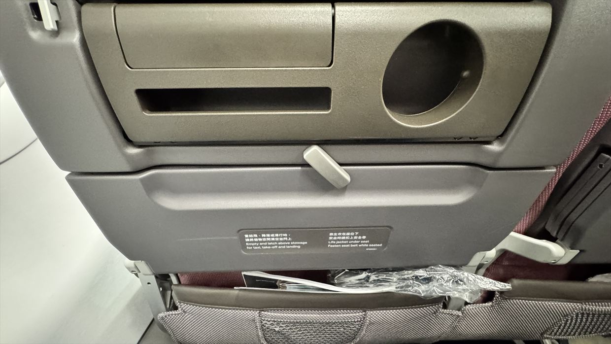 【フライト＆機内食レポ】台北～香港 CX469便 エコノミークラス エアバスA321neo 25年04月