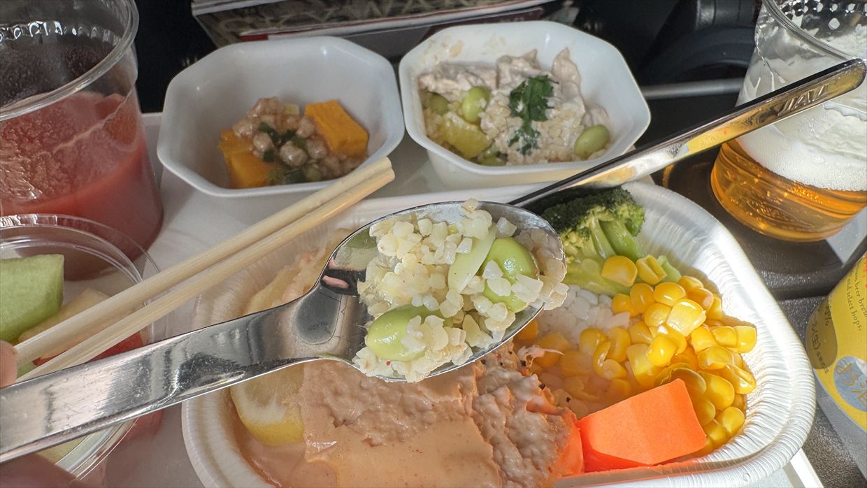 【機内食レポ】香港~那覇 JAL26便 エコノミークラス 25年04月