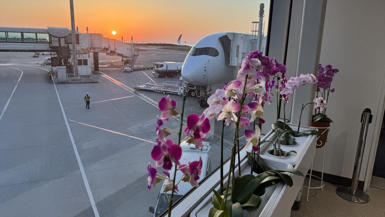 【フライトの様子】JAL921 羽田～那覇 Apr25 A350-900型機 ファーストクラス