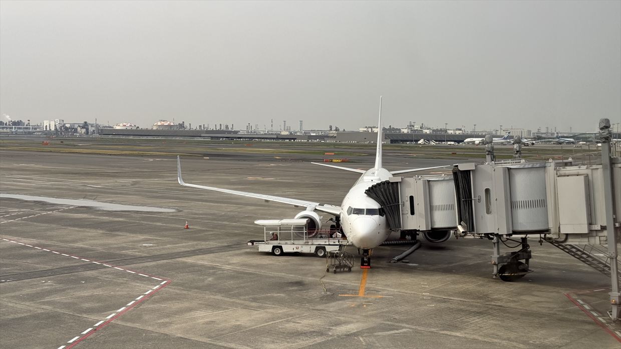 【フライトの様子】JAL201 羽田~中部 Apr25 B737-800型機 普通席