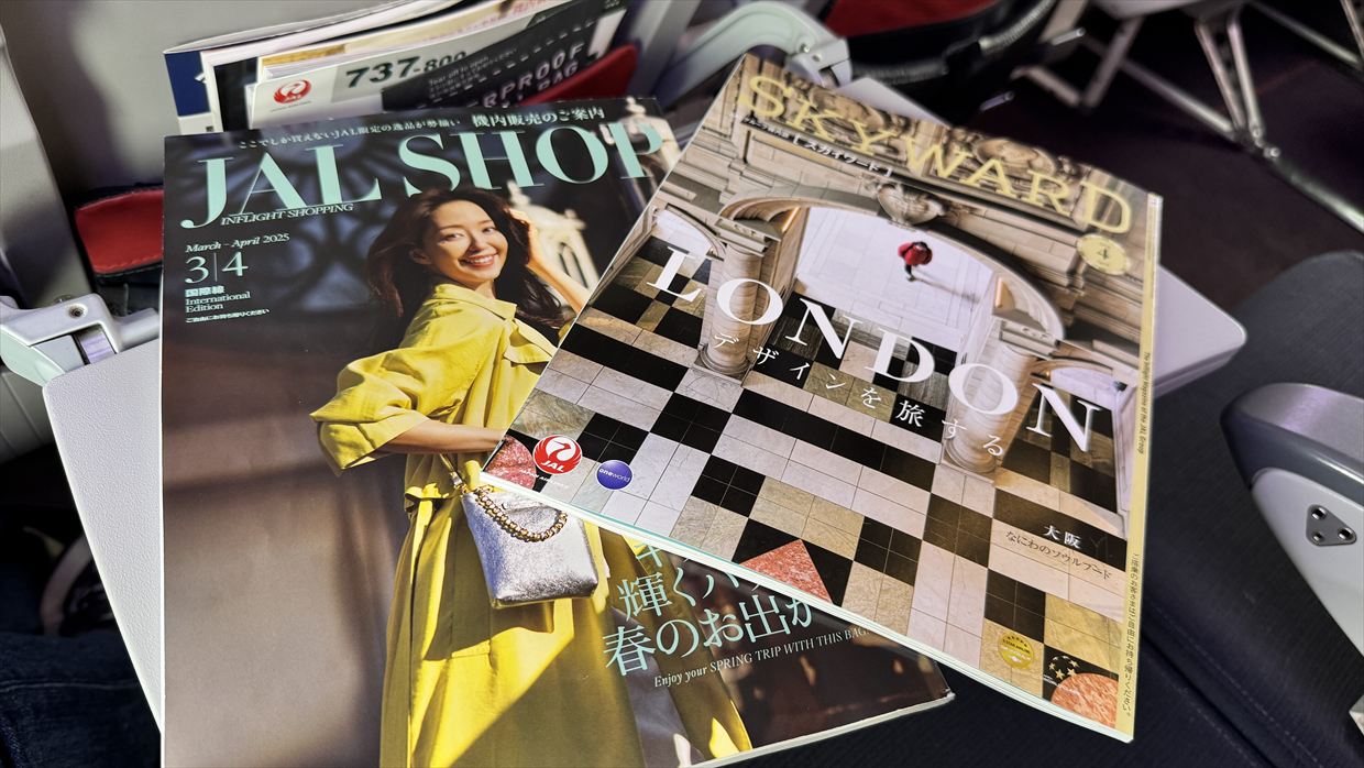 【フライトの様子】JAL201 羽田~中部 Apr25 B737-800型機 普通席